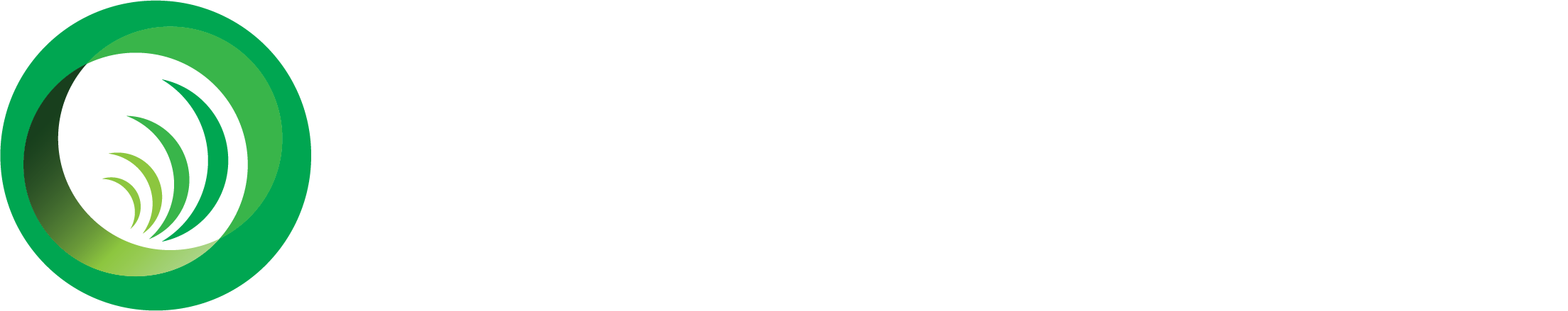 Zur Startseite gehen