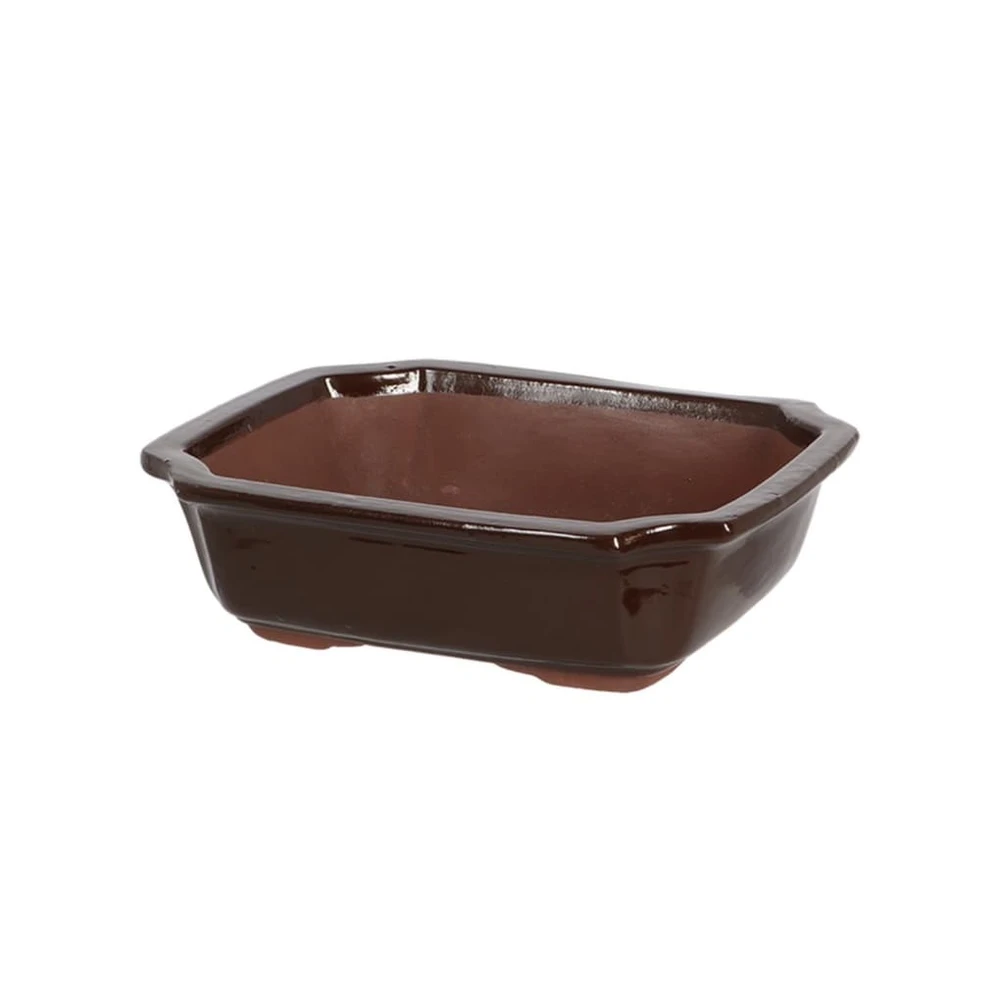 Esschert Design Bonsai-Schale, rechteckig, Terrakotta, Gr. M, L 26,2 x T 20 x H 7,5 cm